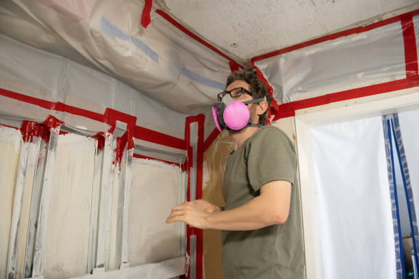 Best Forensic Mold Investigation  in New Castle, CO