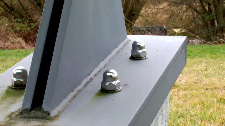 Best Attic Mold Removal  in New Castle, CO